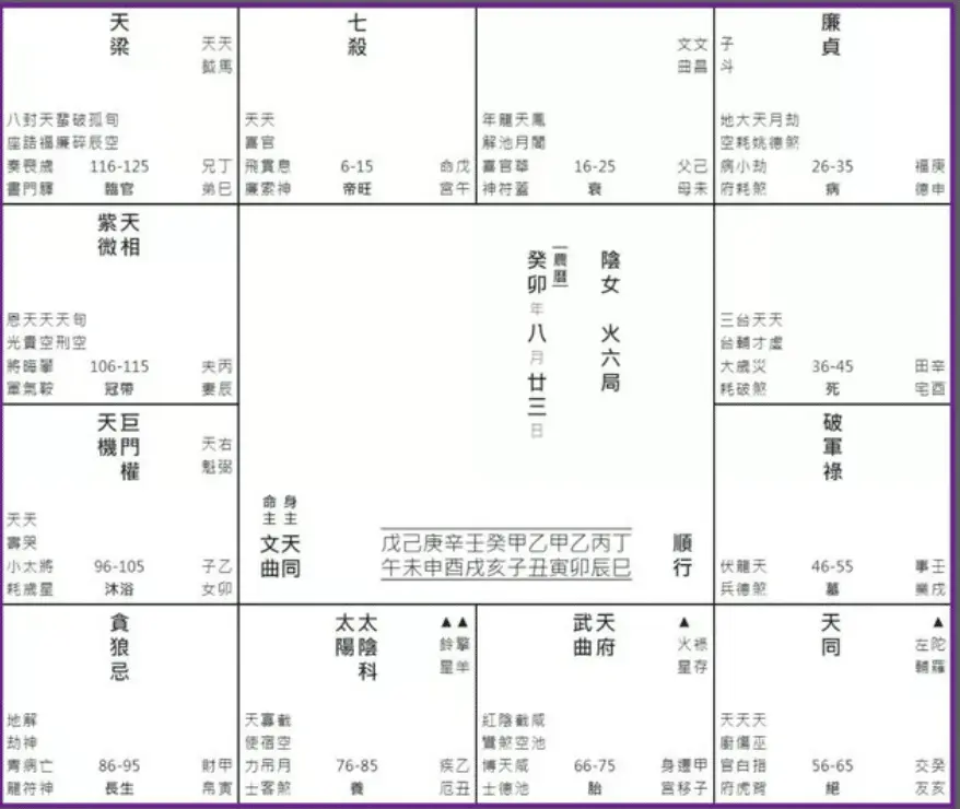 紫微斗數解構梅艷芳
