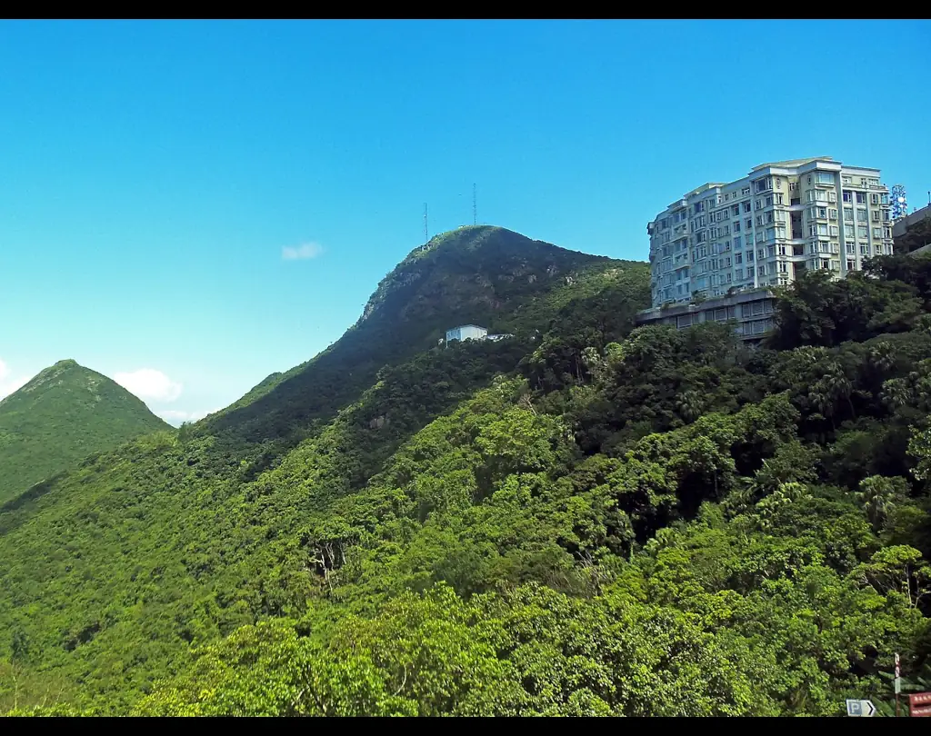 山頂